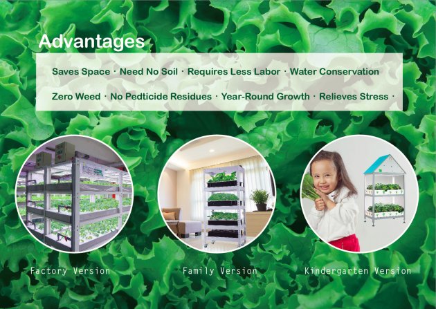 水耕植物架(幼兒版) 2