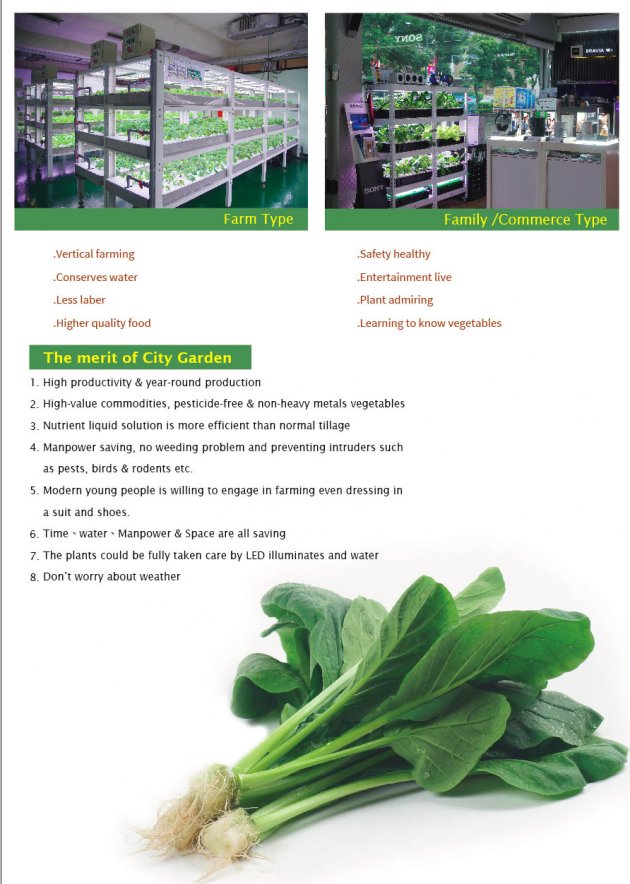 水耕植物架(幼兒版) 4