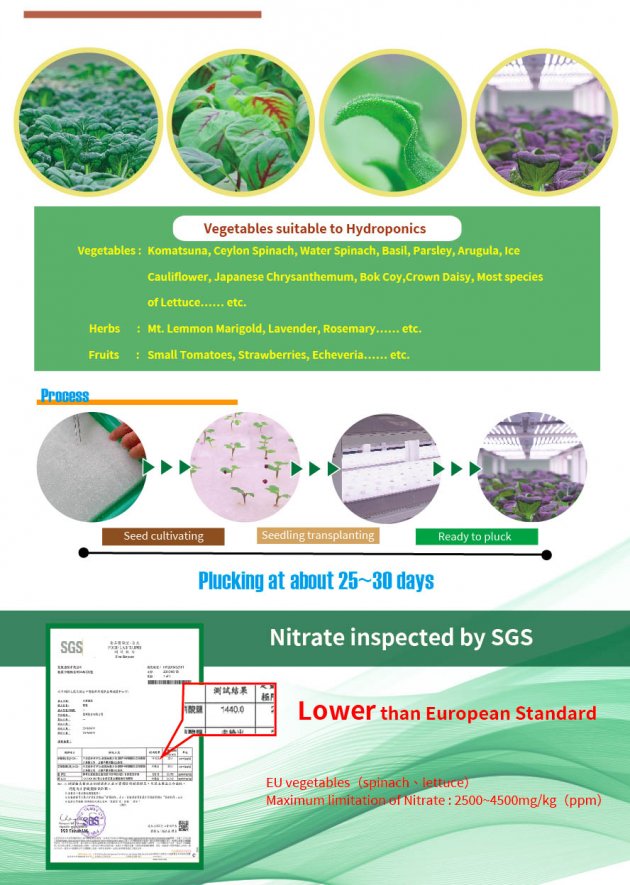 水耕植物架(幼兒版) 3